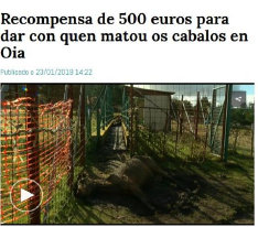 informacion002004.jpg
